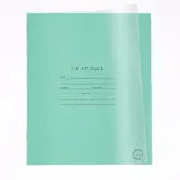 Тетрадь 12 листов в линейку &laquo;Однотонный. Зеленый&raquo;, пластиковая обложка, белизна 100%