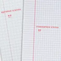 Тетрадь 12 листов в крупную клетку ErichKrause &laquo;Классика&raquo;, обложка мелованный картон, зелёная