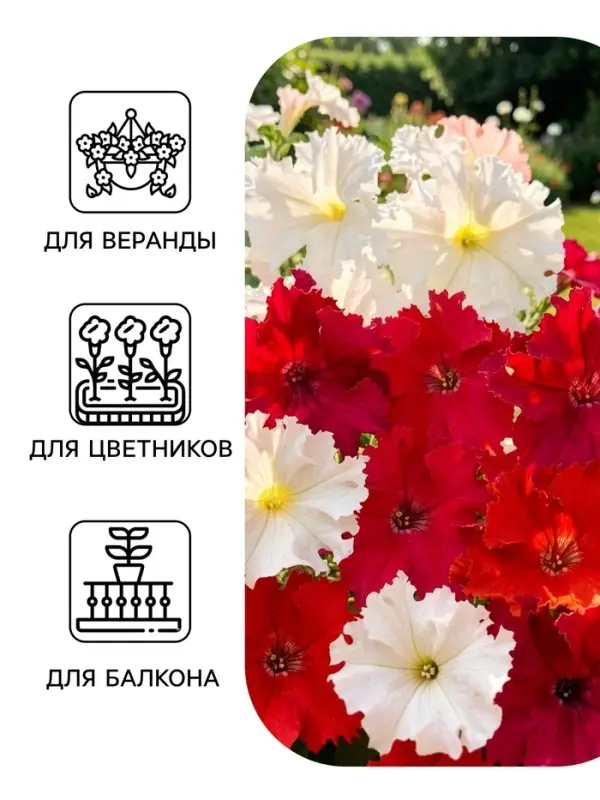Семена цветов Петуния &laquo;Афродита&raquo; F1, крупноцветковая, смесь, драже, С. Cerny, 7 шт.