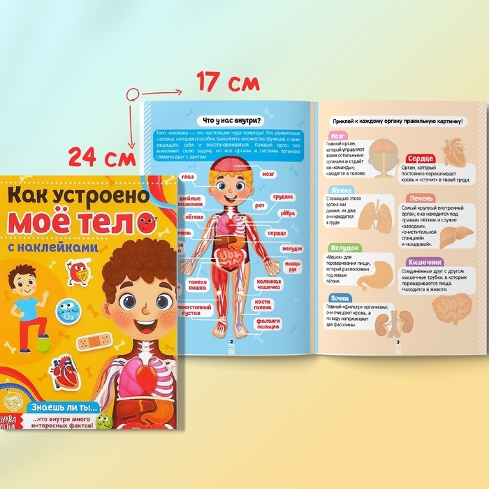 Наклейки набор «Тело человека», 2 шт. по 16 стр. Наклейки набор «Тело человека», 2 шт. по 16 стр.