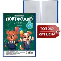 Папка-портфолио А4 Calligrata, пластиковая, с 20 вкладышами, МИКС