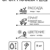 Семена комнатных цветов Глоксиния &laquo;Брокада Красная&raquo;, F1, 8 шт., &laquo;Семена Алтая&raquo;
