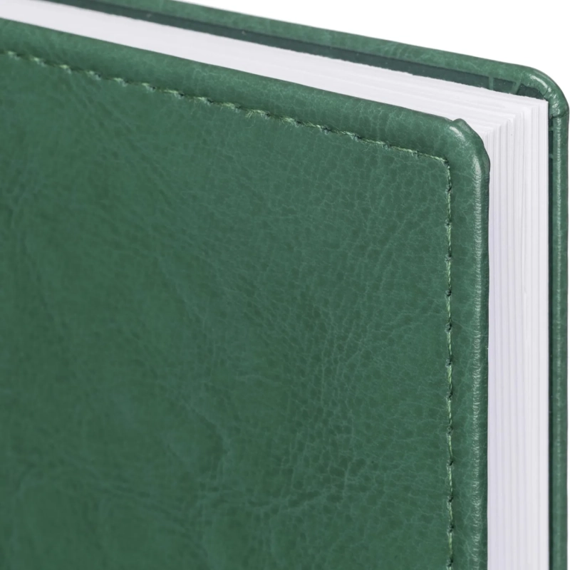 Ежедневник датированный 2026, зеленый,А6, 100х150 мм,336 стр,Agenda