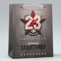 Пакет подарочный ламинированный, упаковка, &laquo;С 23 февраля&raquo;, ML 23&times;27&times;11.5 см