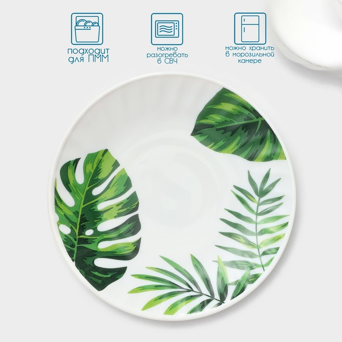 Сервиз чайный «Лист папоротника», 12 предметов: чашка 200 мл, блюдце d=14 см, стеклокерамика, цвет белый Сервиз чайный «Лист папоротника», 12 предметов: чашка 200 мл, блюдце d=14 см, стеклокерамика, цвет белый
