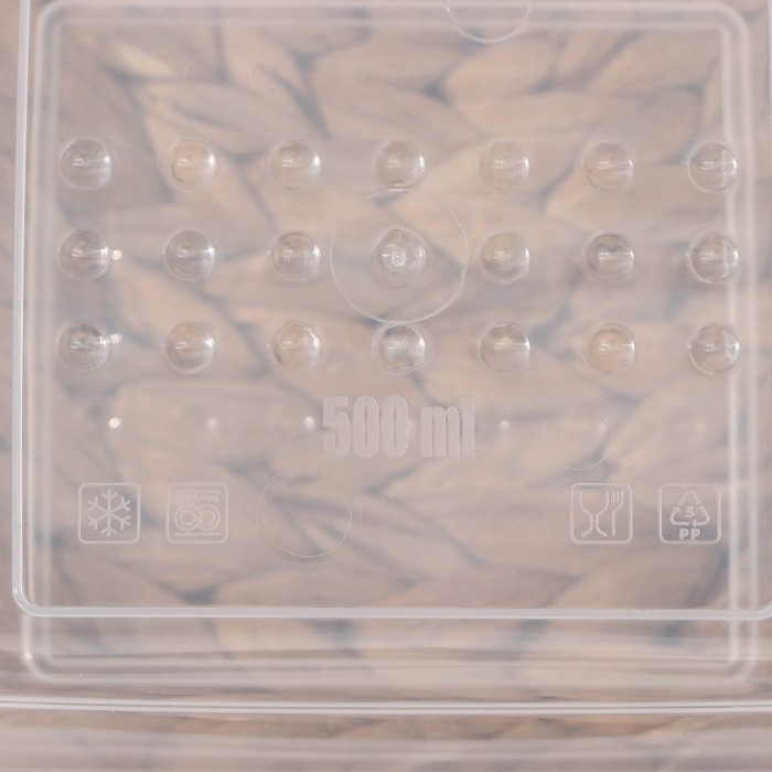 Набор контейнеров для заморозки Asti, 500 мл, 3 шт, цвет прозрачный Набор контейнеров для заморозки Asti, 500 мл, 3 шт, цвет прозрачный