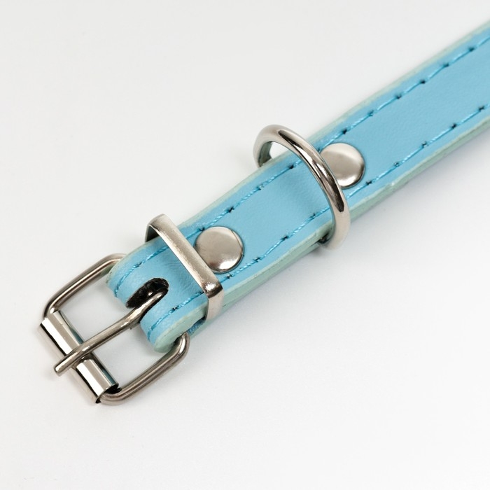 Ошейник Ошейник "Корона" с металлическим декором и со стразами, 36 х 1,4 см, ОШ 24-31, голубой