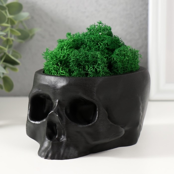 Кашпо бетонное Кашпо бетонное "Череп" со мхом черный 13х9х6,5 см (мох зеленый стабилизированный)
