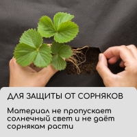 Материал для ландшафтных работ, 20 × 0,8 м, плотность 90 г/м², спанбонд с УФ-стабилизатором, чёрный, Greengo, Эконом 30%