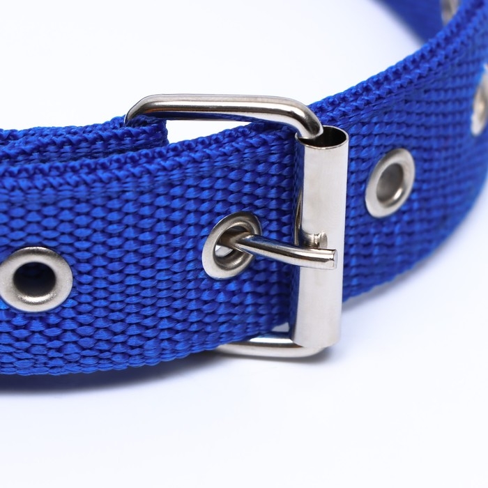 Ошейник двухслойный с вертлюгом, 58 х 3 см, полиэстер, синий Ошейник двухслойный с вертлюгом, 58 х 3 см, полиэстер, синий