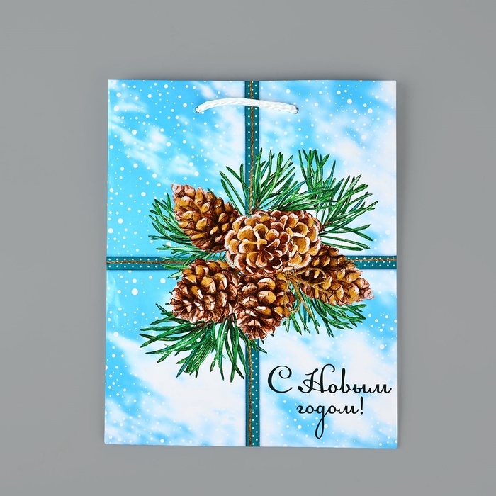 Пакет подарочный новогодний ламинированный «С Новым годом», шишки, MS 18 х 23 х 8 см, Новый год Пакет подарочный новогодний ламинированный «С Новым годом», шишки, MS 18 х 23 х 8 см, Новый год