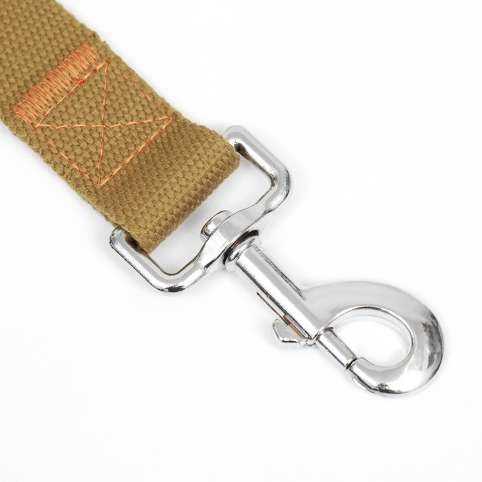 Поводок брезентовый, 1,6 м х 3 см, песочный Поводок брезентовый, 1,6 м х 3 см, песочный