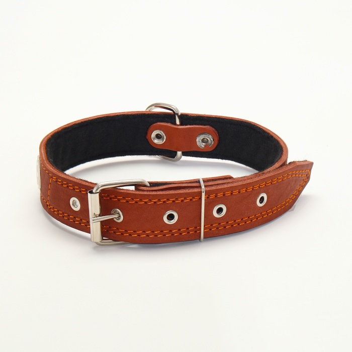 Ошейник кожаный на фетре украшеный, 65 х 3,5 см, ОШ 50-60 см, коричневый Ошейник кожаный на фетре украшеный, 65 х 3,5 см, ОШ 50-60 см, коричневый