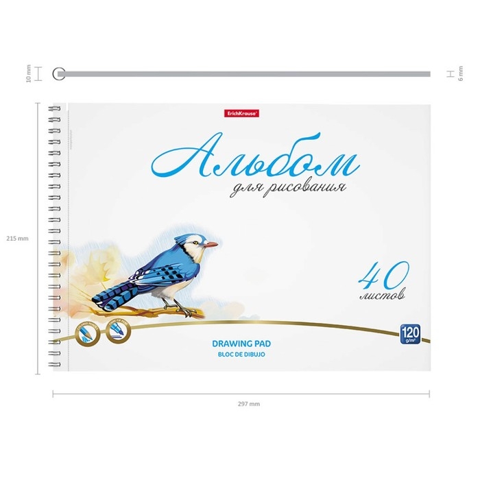 Альбом для рисования А4, 40 листов на спирали, Erich Krause Birds, блок 120 г/м², 100% белизна, перфорация для отрыва, твёрдая подложка