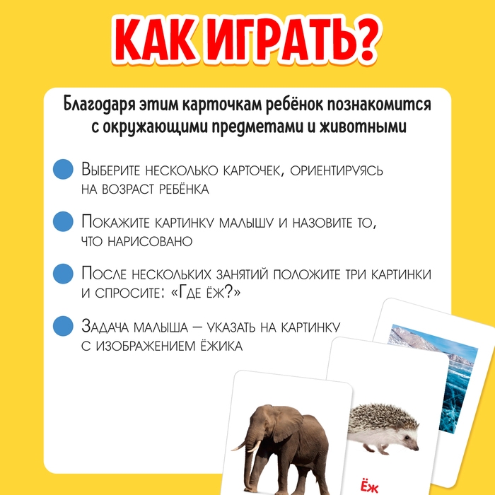 Развивающий набор «Мои первые слова» Развивающий набор «Мои первые слова»