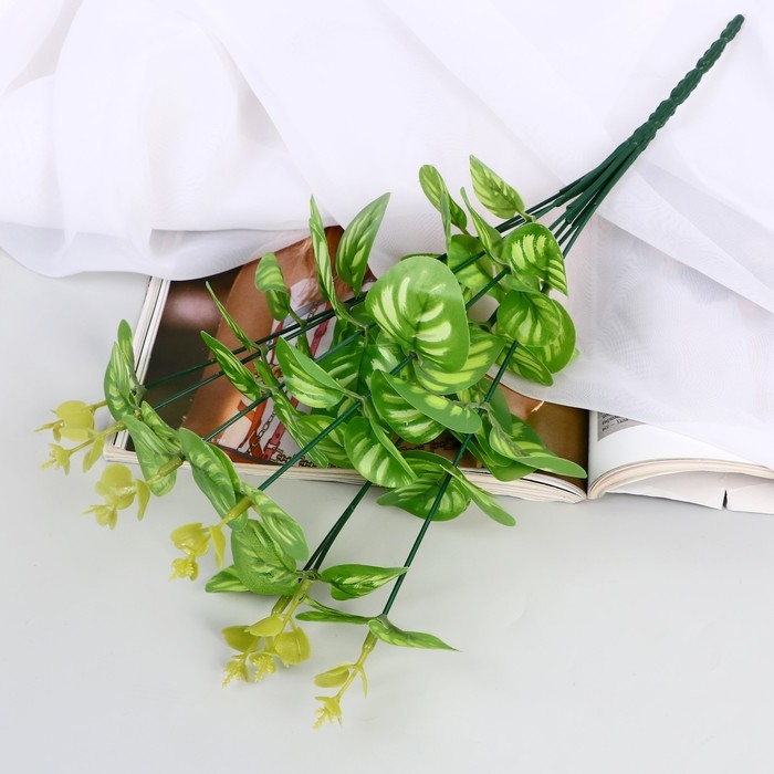 Букет Букет "Кассия декоративная" 29 см, микс