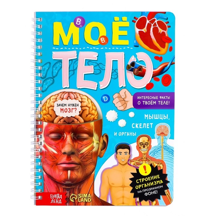 Книга с прозрачными страницами «Моё тело», 32 стр. Книга с прозрачными страницами «Моё тело», 32 стр.
