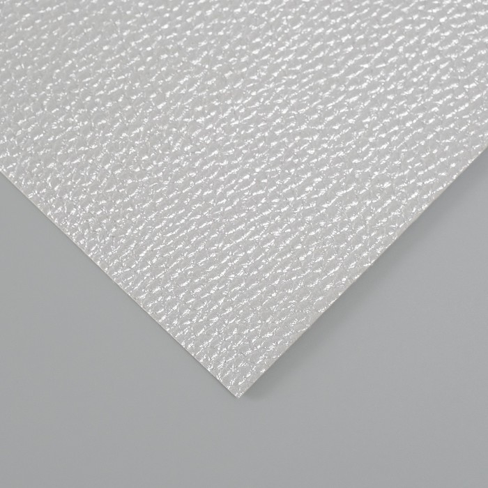 Лист для творчества иск.кожа Лист для творчества иск.кожа "Личи. Перламутр" серебро лист 33х20 см толщина 0,9 мм