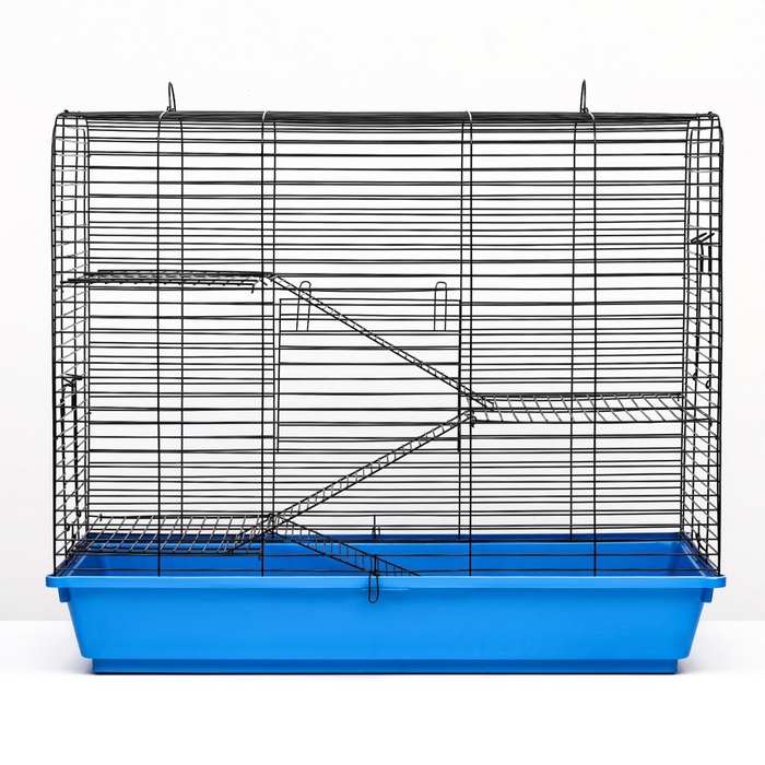 Клетка для грызунов Роджер 3, трехъярусная, 79 х 44 х 65 см, микс Клетка для грызунов Роджер 3, трехъярусная, 79 х 44 х 65 см, микс