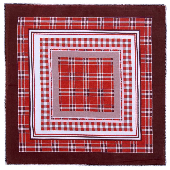 Мужские носовые платки  Мужские носовые платки "Этель" размер 30х30 см, (набор 12 шт,) цвет коричневый, рисунок МИКС