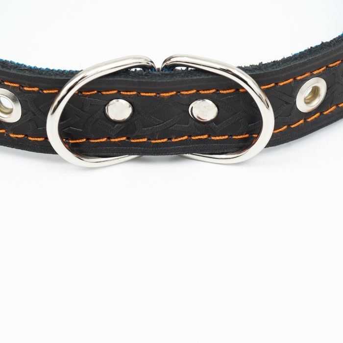 Ошейник кожаный усиленный капроном с полукольцом, 55 х 2,5 см, ОШ 27-53 см, чёрный Ошейник кожаный усиленный капроном с полукольцом, 55 х 2,5 см, ОШ 27-53 см, чёрный