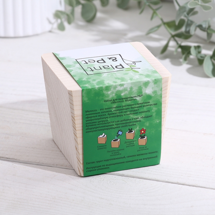 Набор для выращивания P&P Набор для выращивания P&P "Мелисса мохито"
