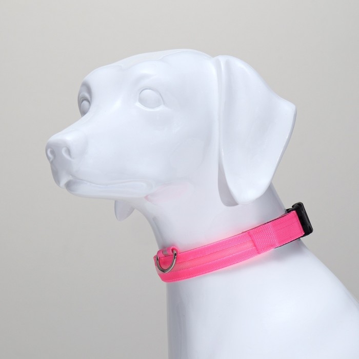 Ошейник с подсветкой размер М, ОШ 40-48 х 2,5 см, 3 режима свечения розовый Ошейник с подсветкой размер М, ОШ 40-48 х 2,5 см, 3 режима свечения розовый