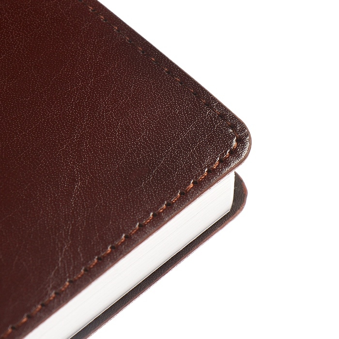 Ежедневник датированный 2025, A5 168 листов, deVENTE. Saltos, мягкая обложка кожзам, перфорация, ляссе, блок 70, коричневый Ежедневник датированный 2025, A5 168 листов, deVENTE. Saltos, мягкая обложка кожзам, перфорация, ляссе, блок 70, коричневый