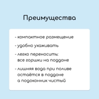 Набор для рассады: стаканы по 70 мл (24 шт.), поддон 29,5 × 20 см, МИКС