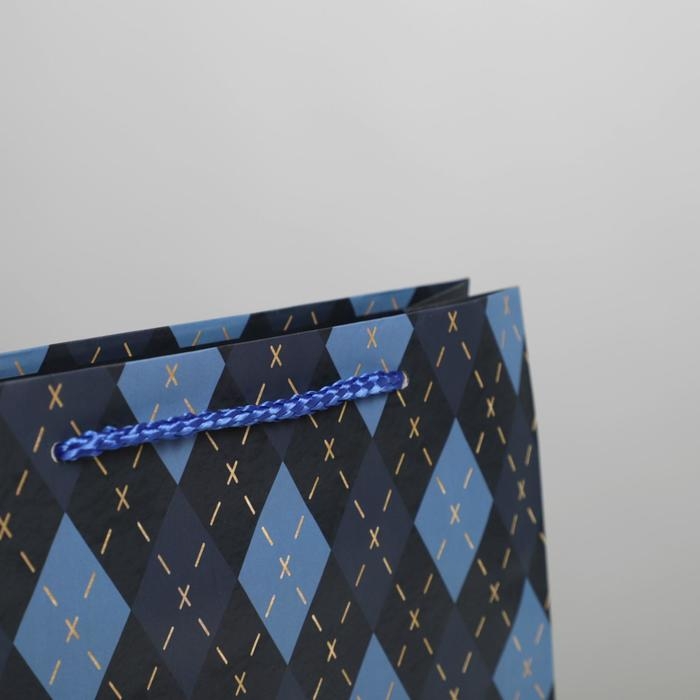 Пакет подарочный ламинированный, упаковка, &laquo;Клетка&raquo;, ML 21 х 25 х 8 см