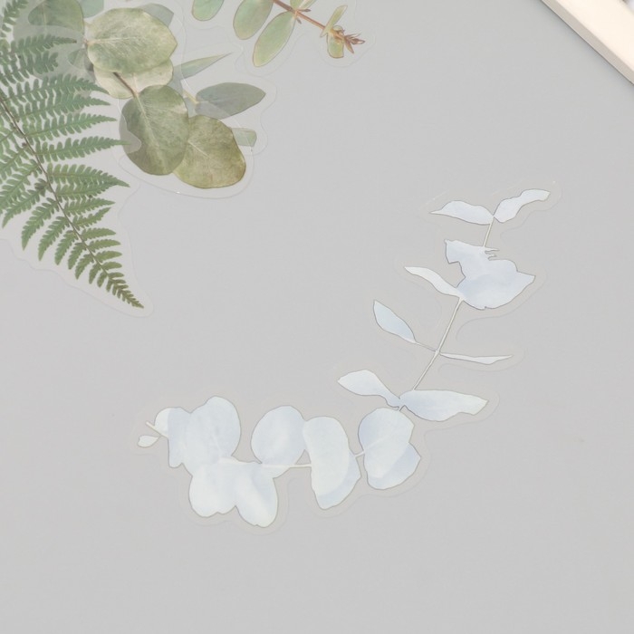 Наклейки пластик Наклейки пластик "Листья и цитаты. Зеленые" набор 12 шт 8,5х21,5х0,2 см