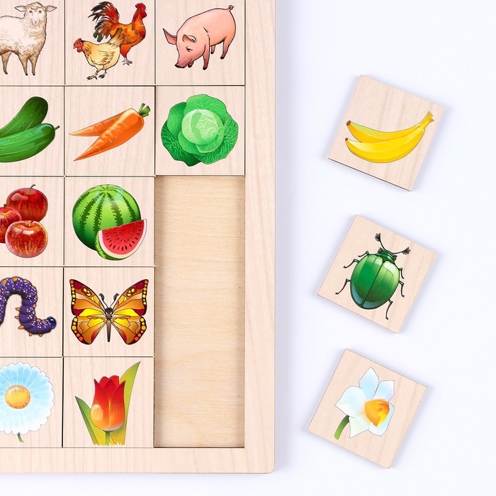 Ассоциация «Флора и фауна» Ассоциация «Флора и фауна»