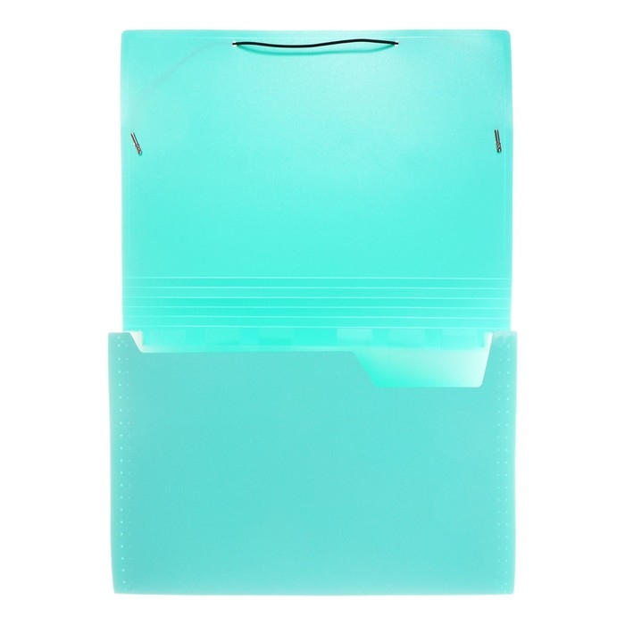 Папка картотека А4, Calligrata "Акварель", 13 отделений, пластиковая, 700 мкм, мятная, резинка чёрная