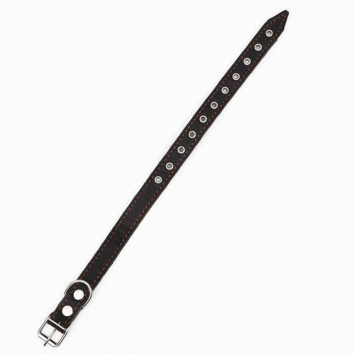 Ошейник комбинированный кожа/брезент, безразмерный, 54 х 2.5 см, ОШ 17-45 см, чёрный Ошейник комбинированный кожа/брезент, безразмерный, 54 х 2.5 см, ОШ 17-45 см, чёрный