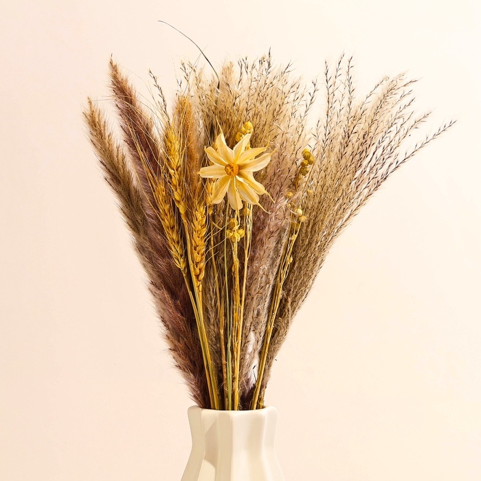 Сухоцветы «Нежность», набор из 4 видов, 48 × 16 × 6 см Сухоцветы «Нежность», набор из 4 видов, 48 × 16 × 6 см