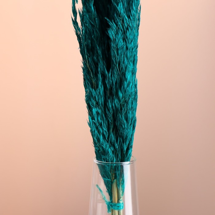 Набор сухоцветов Набор сухоцветов "Камыш", банч длина 65 (+/- 6 см), изумрудный