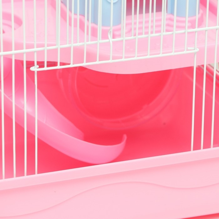 Клетка для грызунов Клетка для грызунов "Пижон" с замком, 31 х 24 х 27 см, розовая