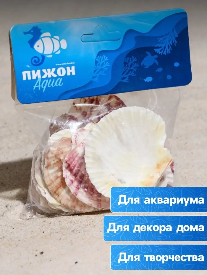 Набор ракушек, "Гребешок пуксидатус", размер 4 - 6 см, 100 г Набор ракушек, "Гребешок пуксидатус", размер 4 - 6 см, 100 г