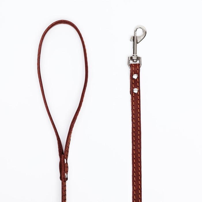 Поводок кожаный однослойный, простроченный, 1.47 м х 1.2 см, коричневый Поводок кожаный однослойный, простроченный, 1.47 м х 1.2 см, коричневый