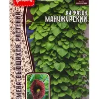 Семена цветов Кирказон Манчжурский  20шт. 12.29 г.