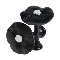 Крючок для штор CAPPIO KS036, d=9.5 мм, цвет черный, 2 шт