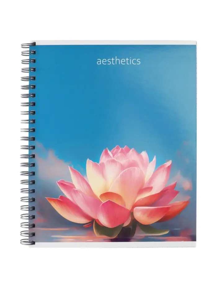 Компл тетр из 3шт 96л кл на гребне Эстетика, обл мел карт, глянц лам, офсет (10246943)