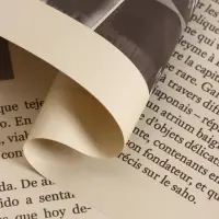 Пленка флористическая "Газета моды" 65мкм, крафт, 50х57 &plusmn;1см