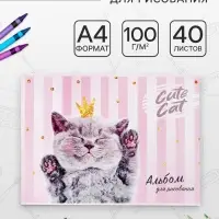 Альбом для рисования Calligrata, А4, 40 листов, на скрепке, обложка мелованный картон, блок 100 г/м&sup2;