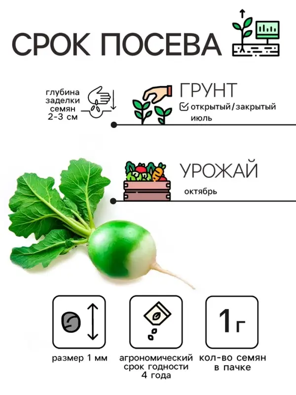 Семена Редька  Семена Редька "Маргеланская", 1 г