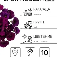 Семена цветов Петуния махровая &laquo;Дабл каскад блю&raquo; 10 шт.