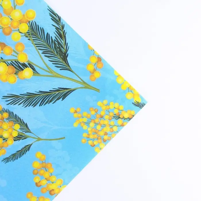 Бумага упаковочная крафтовая «Самой нежной», 8 марта, 70 х 100 см Бумага упаковочная крафтовая «Самой нежной», 8 марта, 70 х 100 см