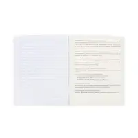 Предметная тетрадь для сочинений Hatber &laquo;Буквица&raquo;, 48 листов, в линейку, со справочным материалом, обложка из мелованного картона