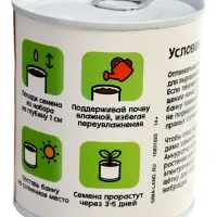 ЭВРИКИ Набор для опытов "Мой мини-сад", помидор