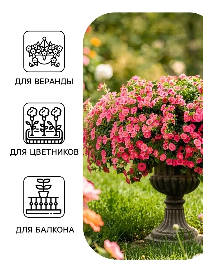 Семена цветов Петуния &laquo;Минибелло&raquo; F1, сакура, многоцветковая, 5 шт., Farao, &laquo;АЭЛИТА&raquo;